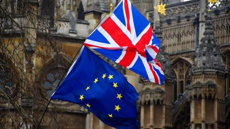 EU and Union flags outside the Houses of Parliament