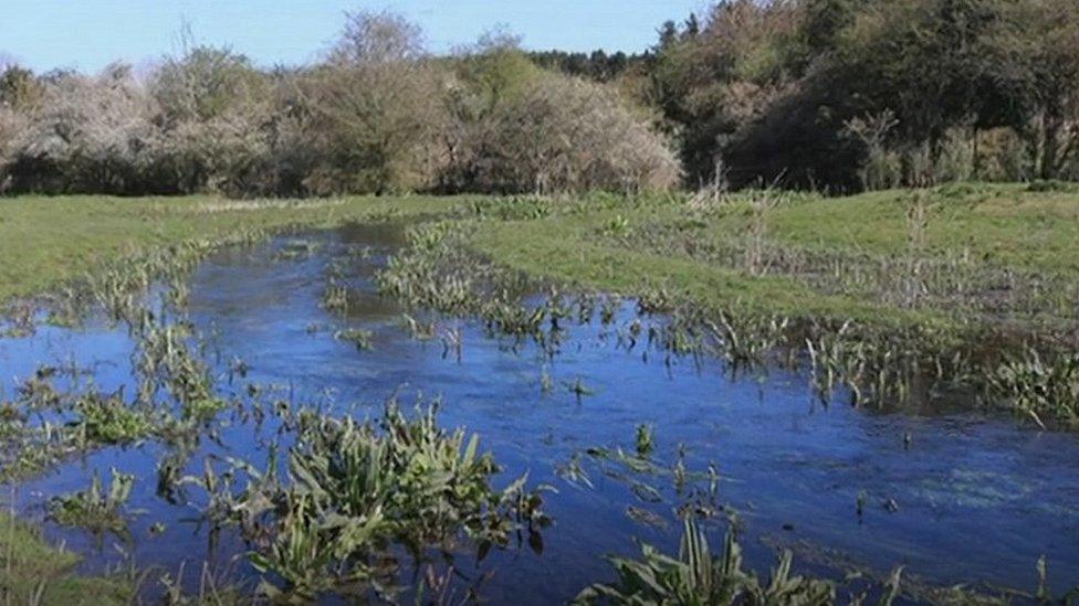 River Ver with water in the spring