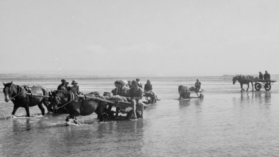 Women collecting cockles in Penclawdd on the Gower Peninsula in 1951