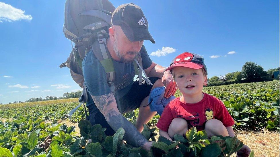 Father and son searching for strawberries