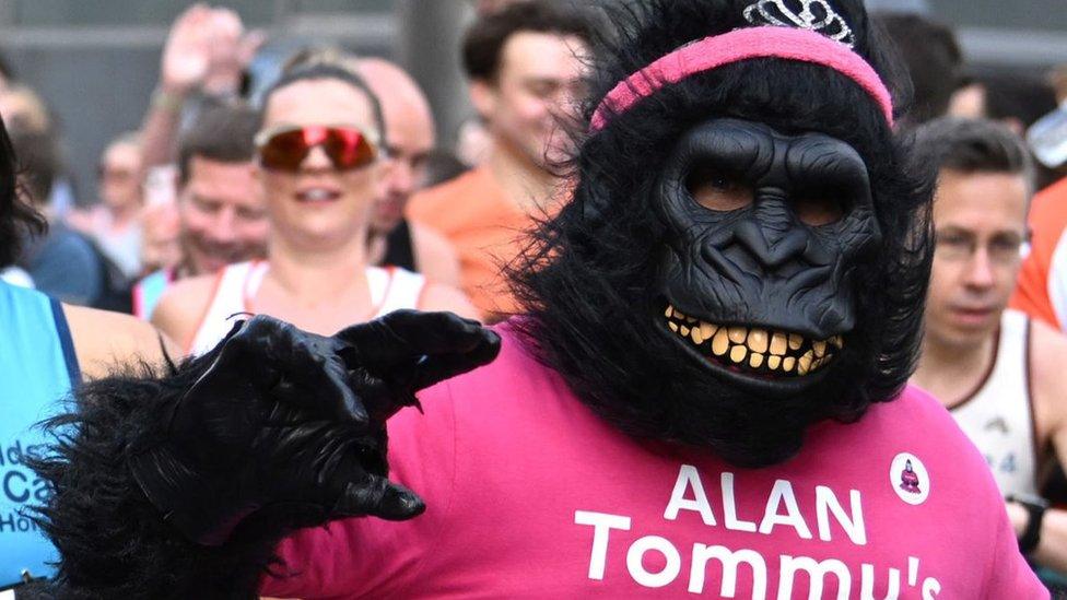 Alan the Gorilla