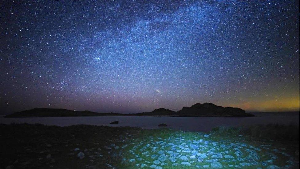 Stars over a rocky grass shore