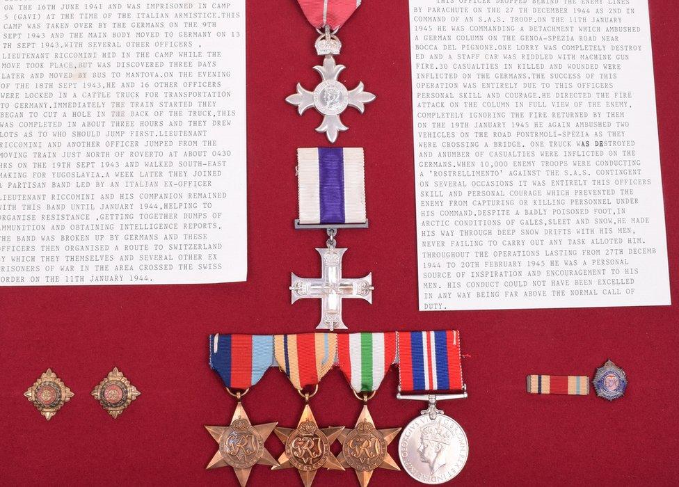 James Riccomini's medals