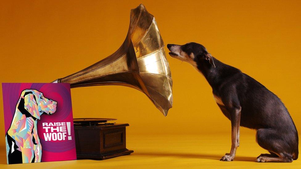 dog-singing-into-gramophone