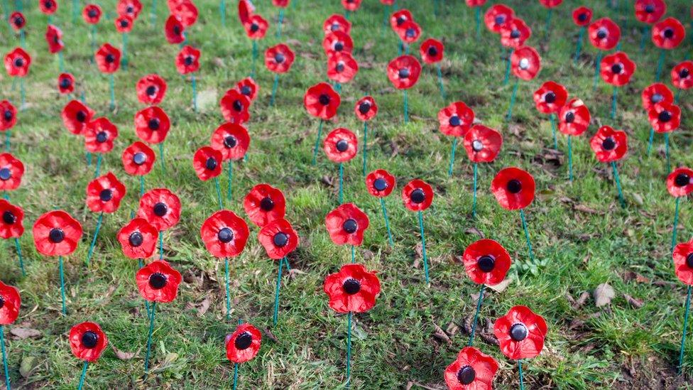 Stourbridge poppies