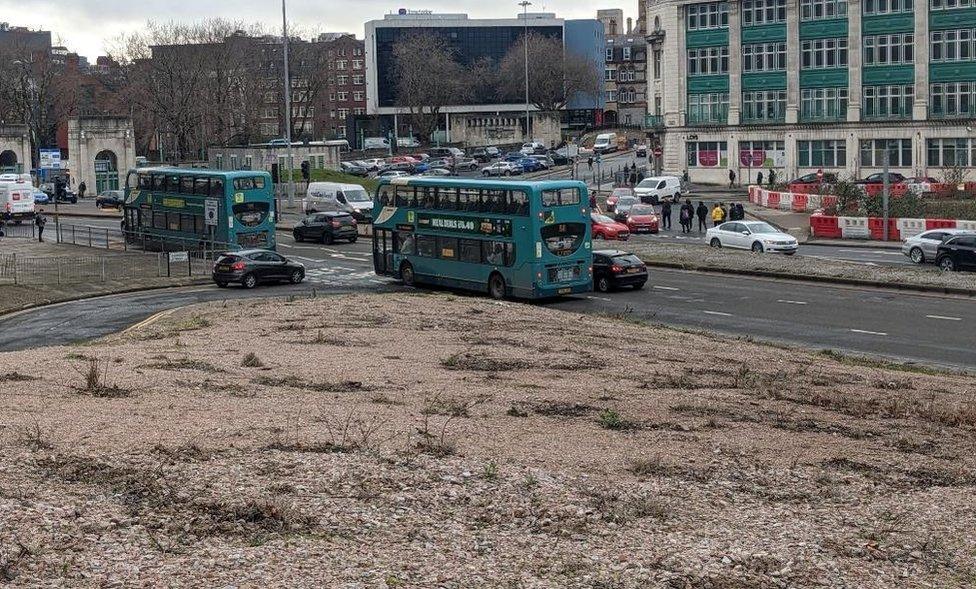 The site of the seed-spreading