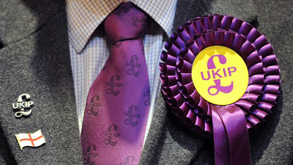 UKIP tie and rosette