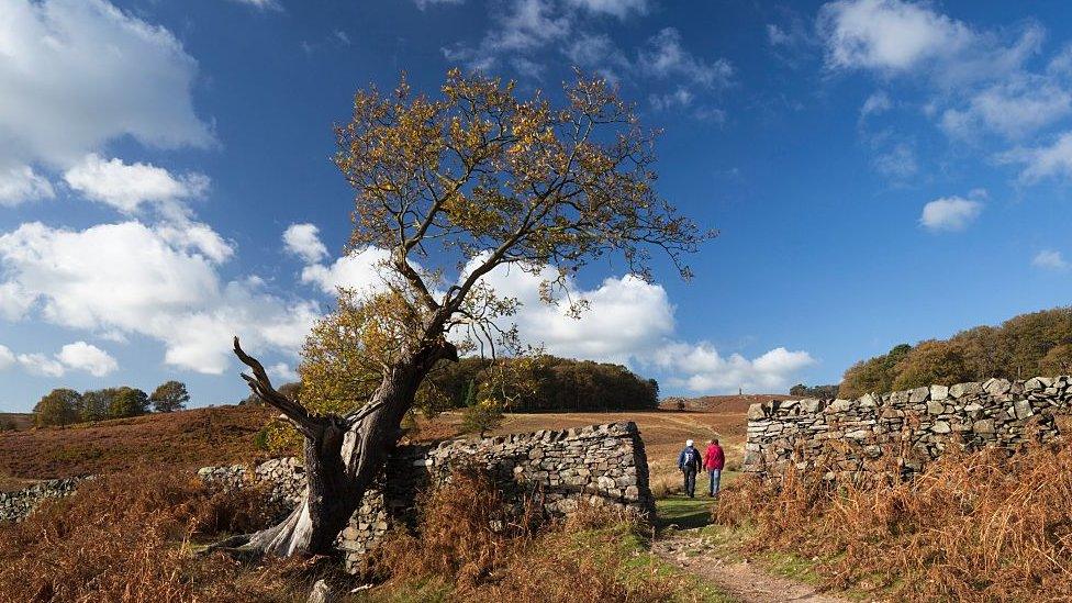 Bradgate Park