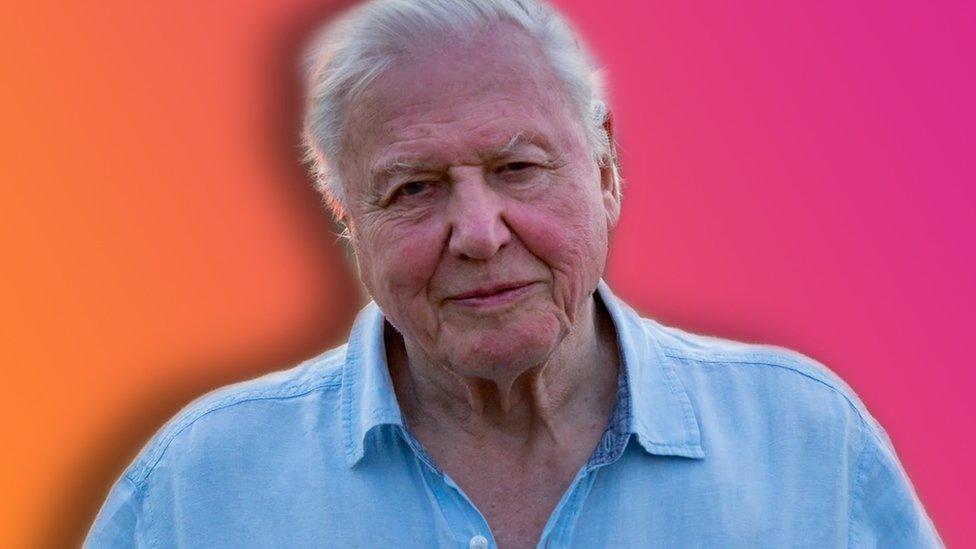 Sir David Attenborough.