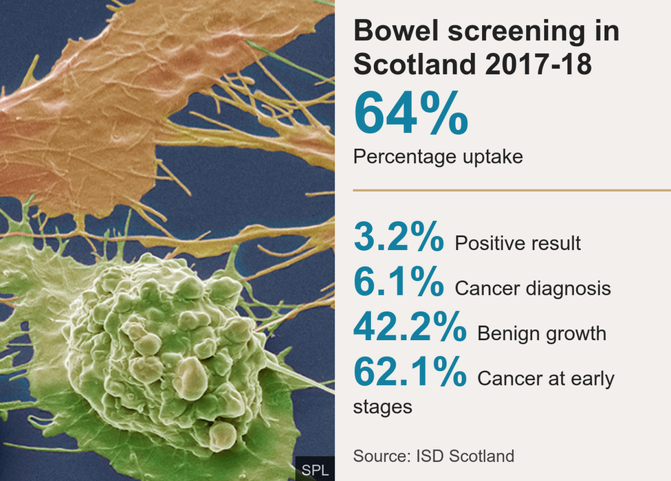 Bowel cancer screening uptake