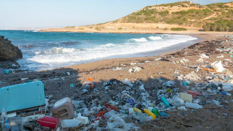 plastic bags and rubbish on a beach