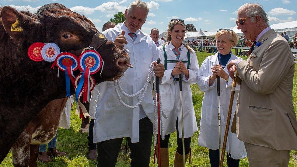 Charles at Great Yorkshire Show