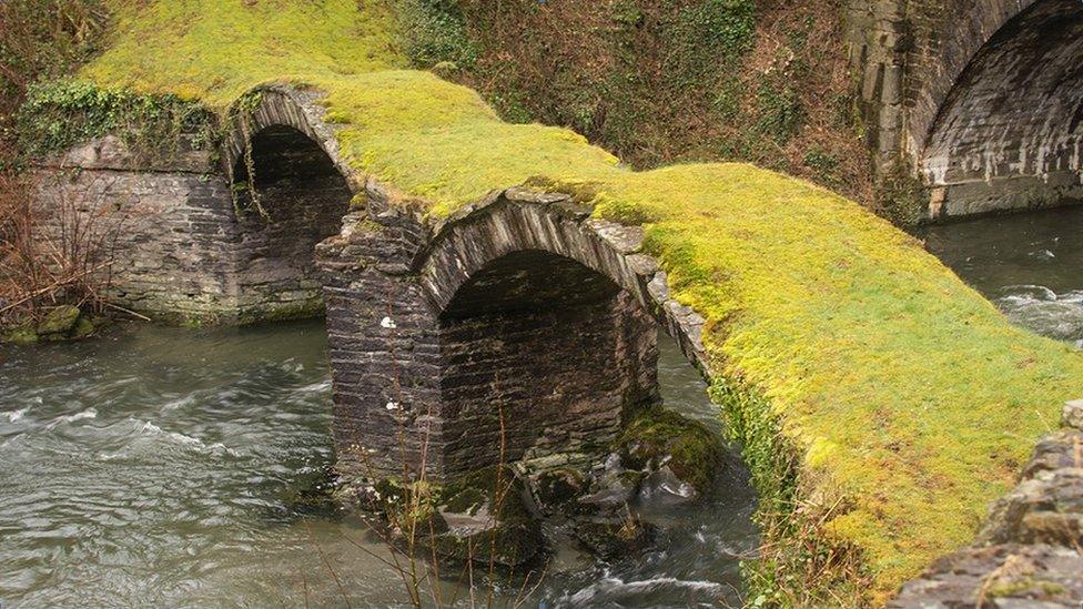 Pont Minllyn sy'n croesi afon Ddyfi ger Dinas Mawddwy