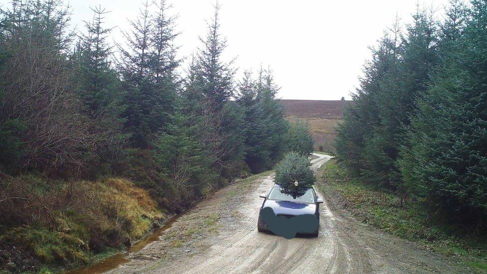 Car leaving Cloceanog forest