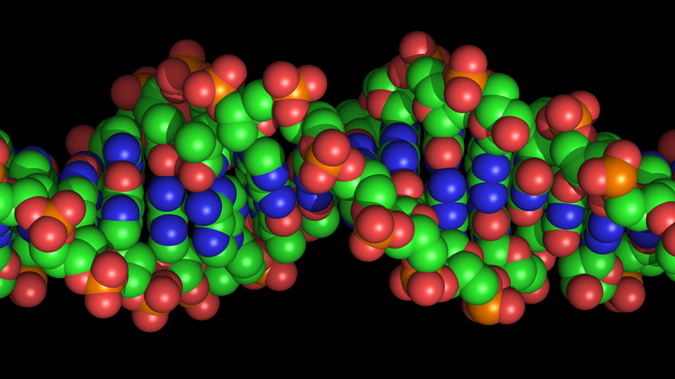 DNA strand illustration