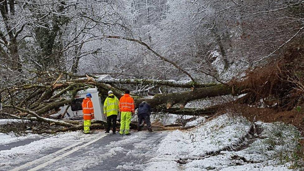 Tree hits a van on A40 in Llandovery