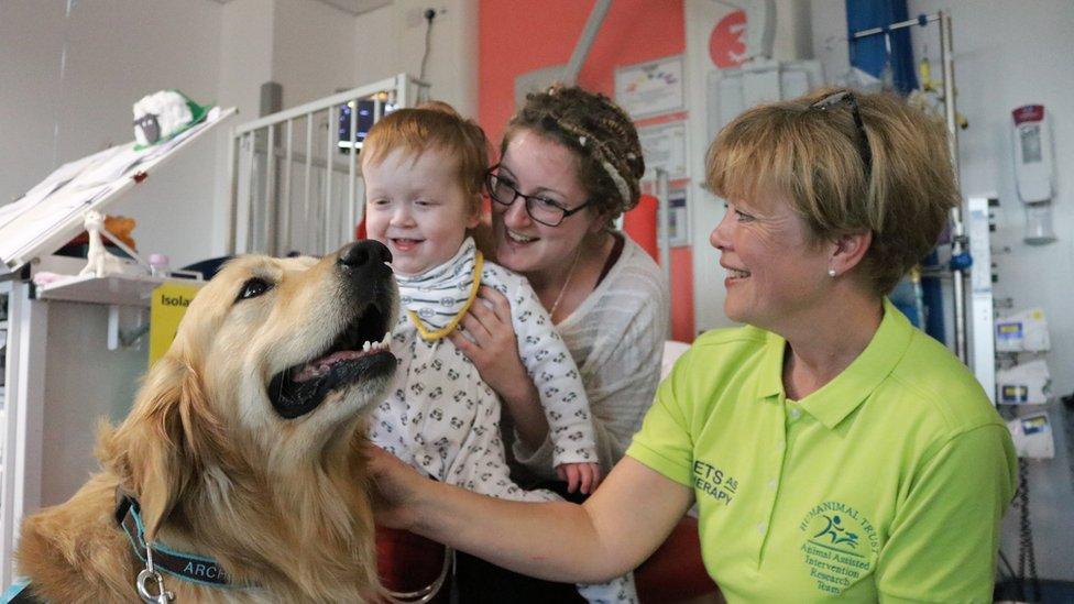 picture of Archie the dog with child at Southampton Children's hospital