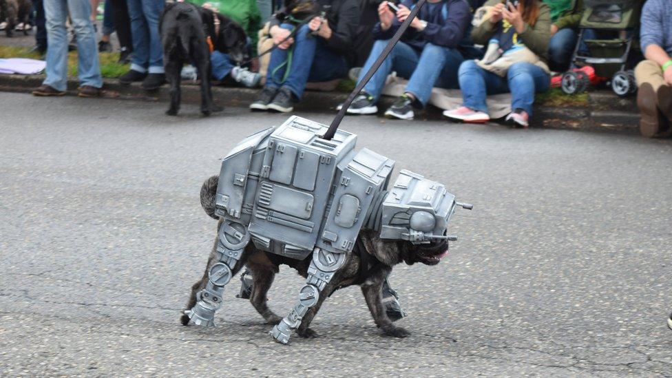 AT-AT pug