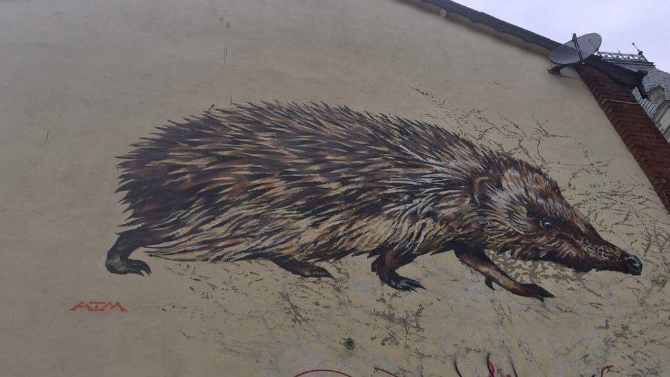 Hedgehog mural in Ipswich