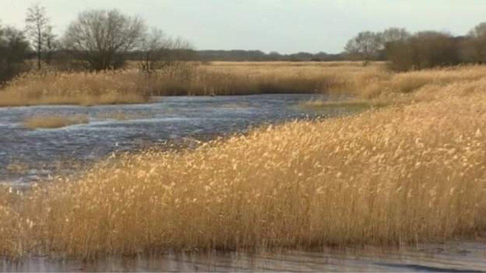 Hickling Broad