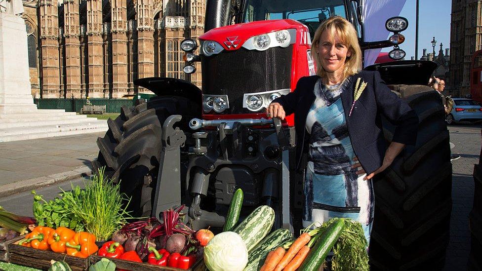 Minette Batters standing in front of a tractor in Westminster