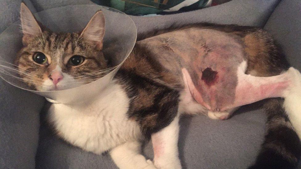 Chi had a number of serious burned to her body after being trapped in the engine compartment