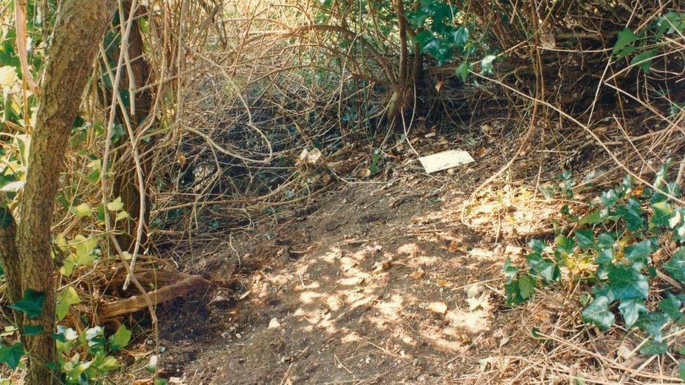 The area where the girls' bodies were found