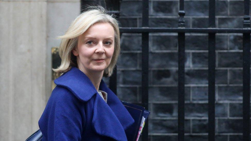 Liz Truss, Justice Secretary