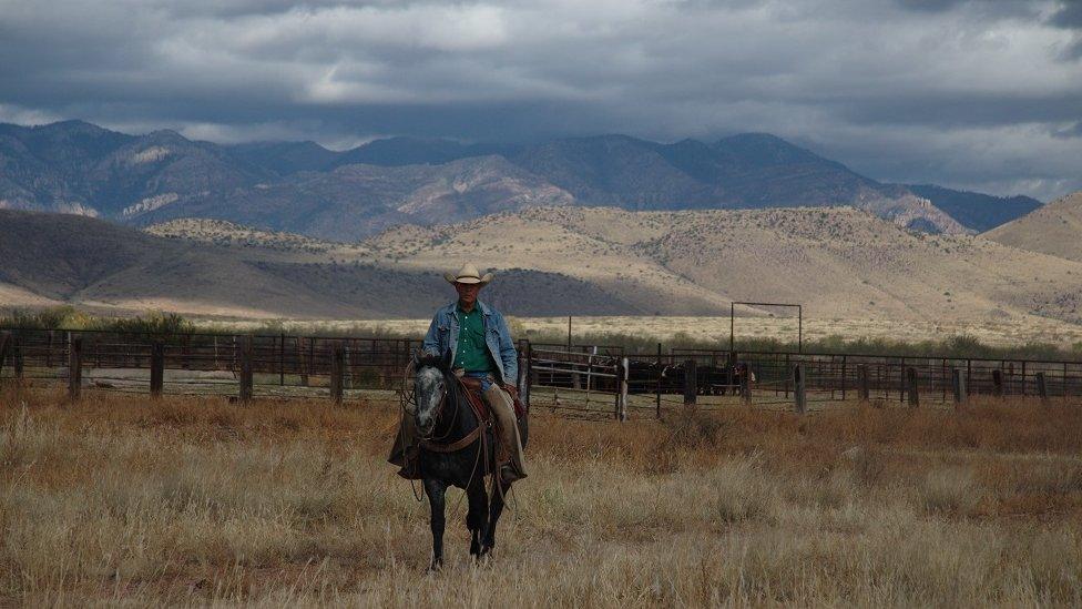 Ed Ashurst on horseback, 3 November 2016