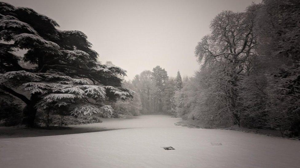 Snowy landscape