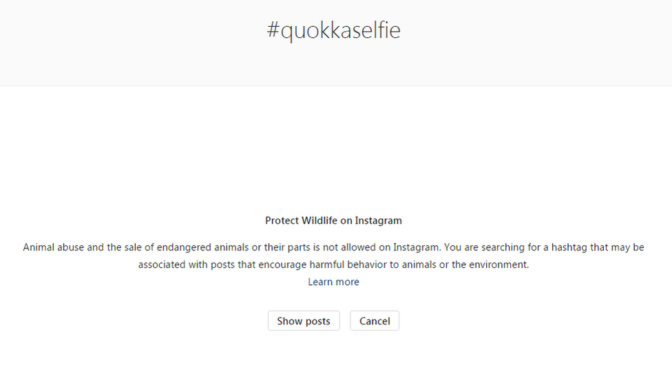 An Instagram notice warning people about quokka selfies and animal abuse says: "You are searching for a hashtag that may be associated with posts that encourage harmful behaviour to animals or the environment."