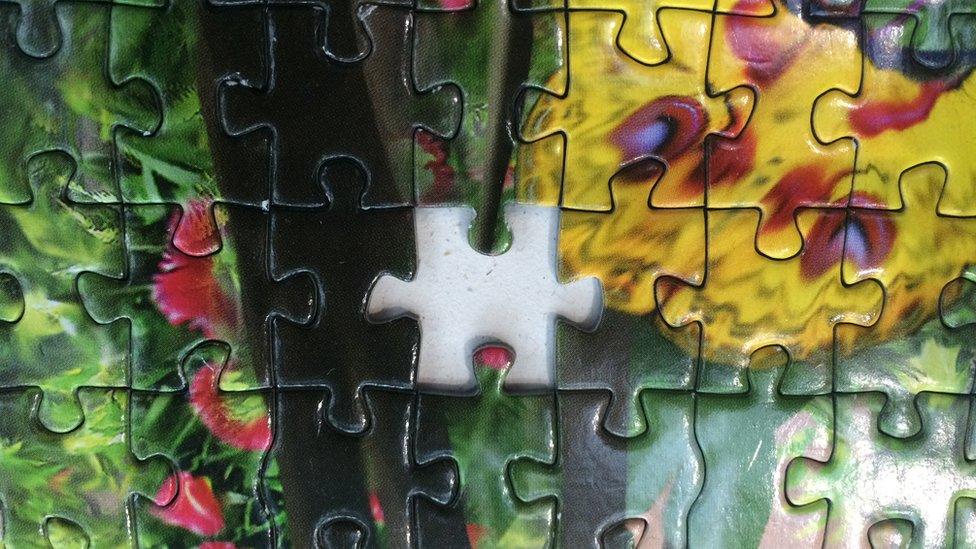 Missing jigsaw piece