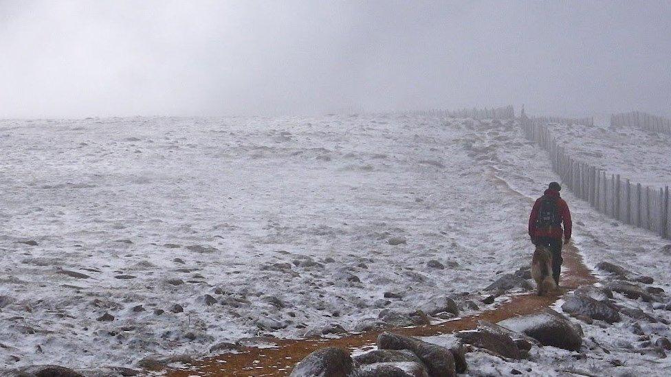 Man and dog walk towards the Ptarmigan, North Caingorms