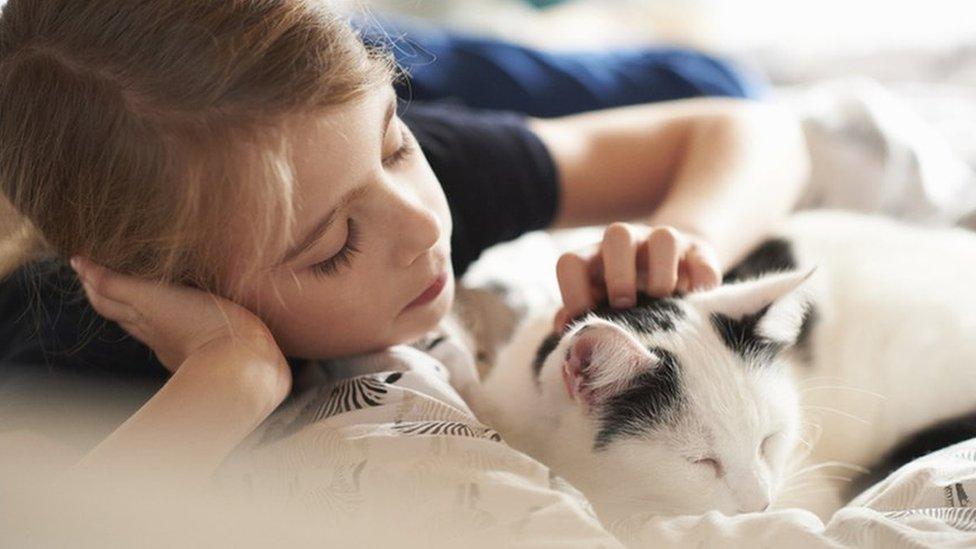 girl with cat