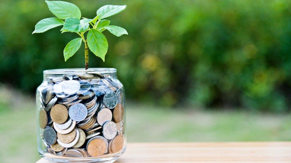 Money in jar with green shoot