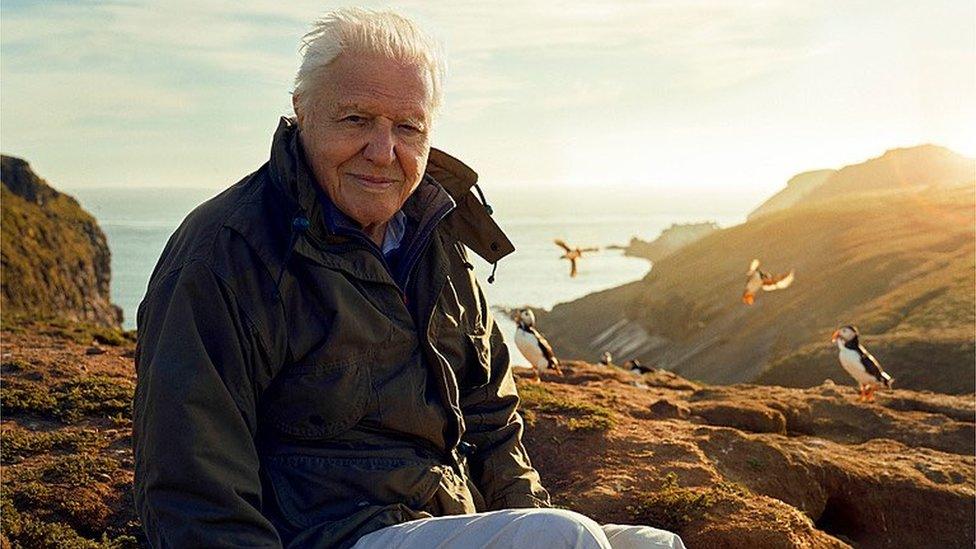 David Attenborough