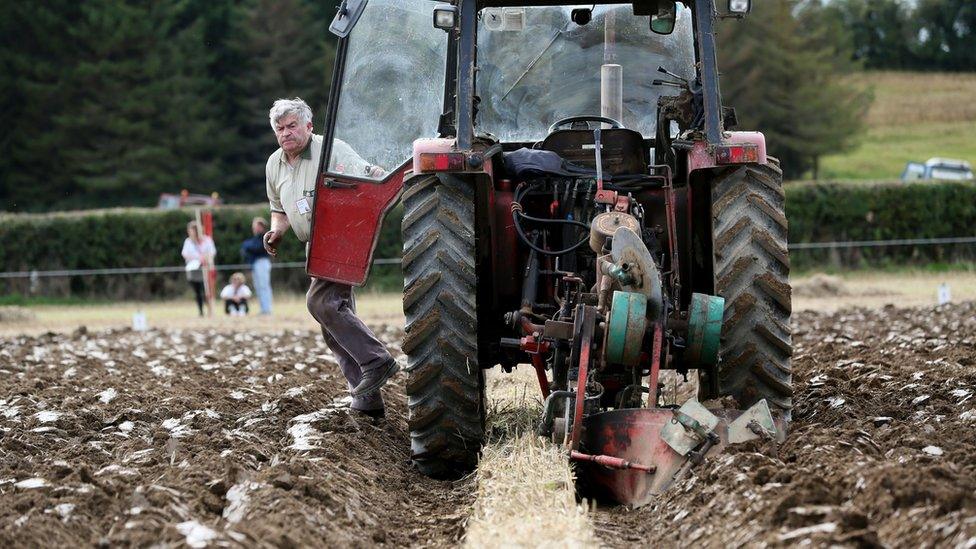 Irish farmer