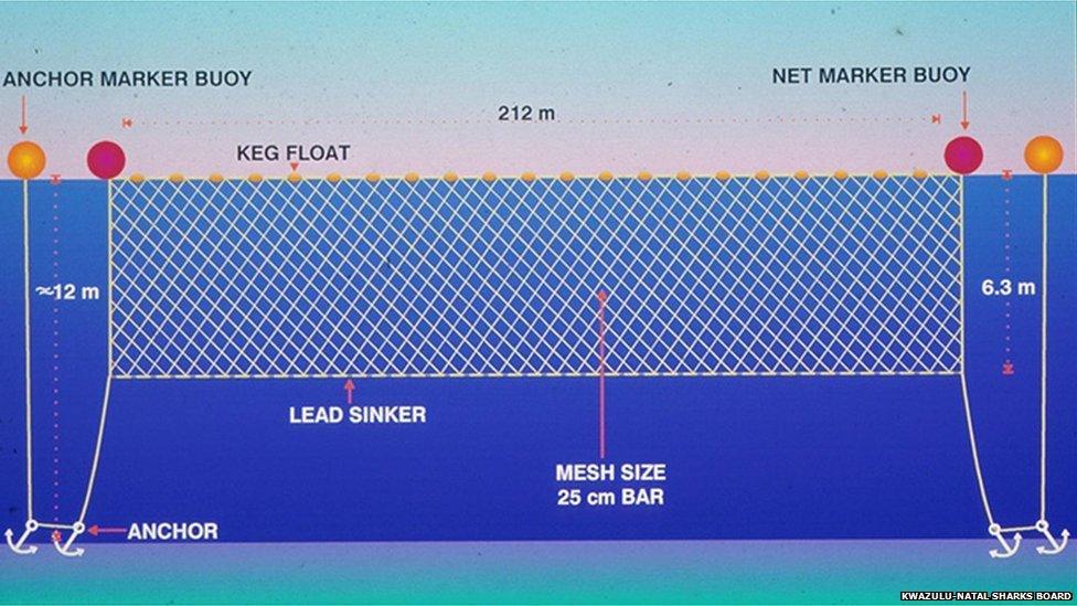 A diagram of a shark net