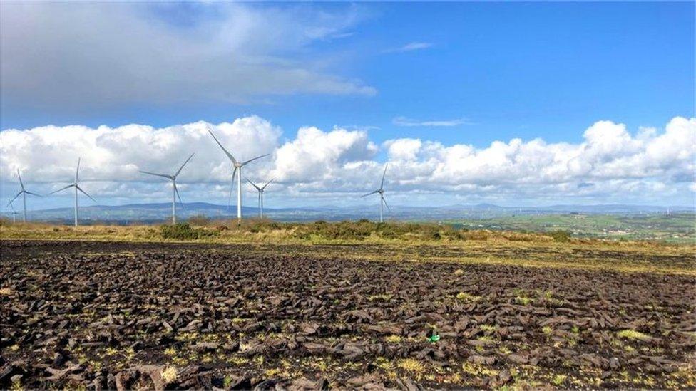 A wind farm