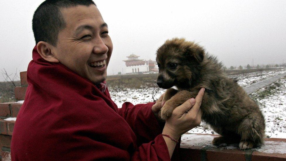 A monk plays with a dog