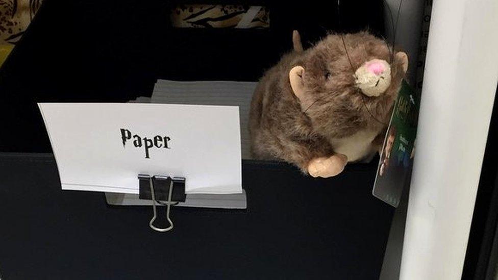 Fluffy toy mouse in paper box