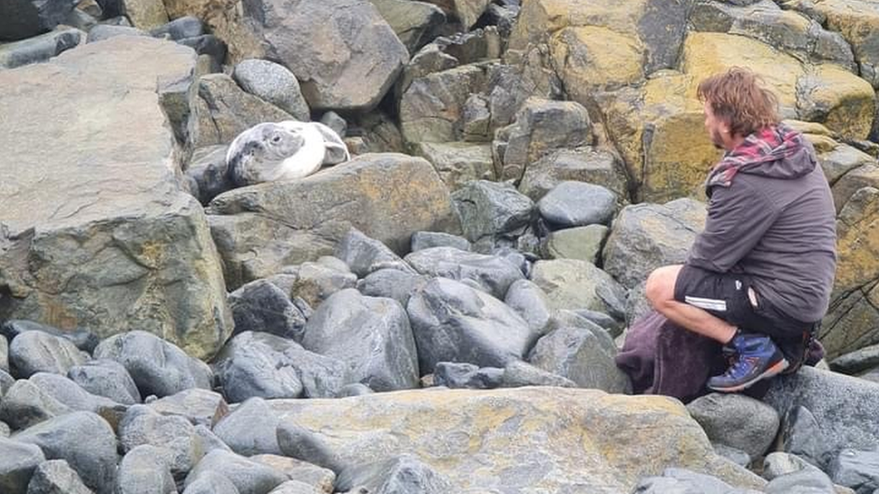 Luna C being rescued from rocks