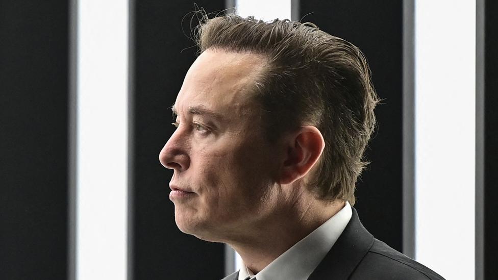 Elon Musk in March 2022