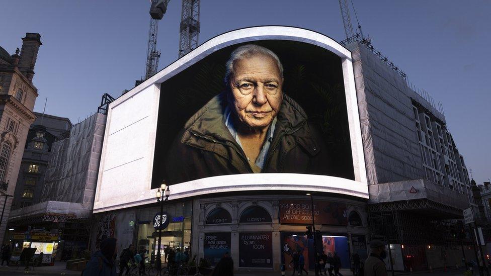 David Attenborough on screen at Piccadilly Circus