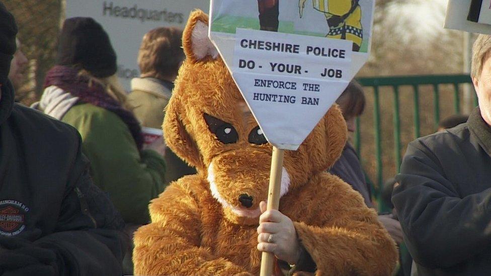 person in fox costume at rally