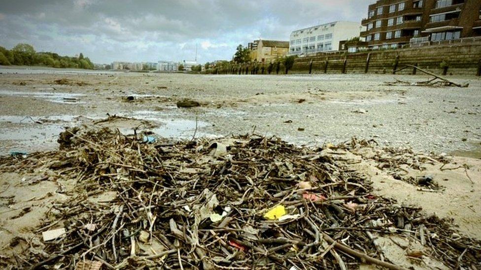 Plastics on the Thames foreshore