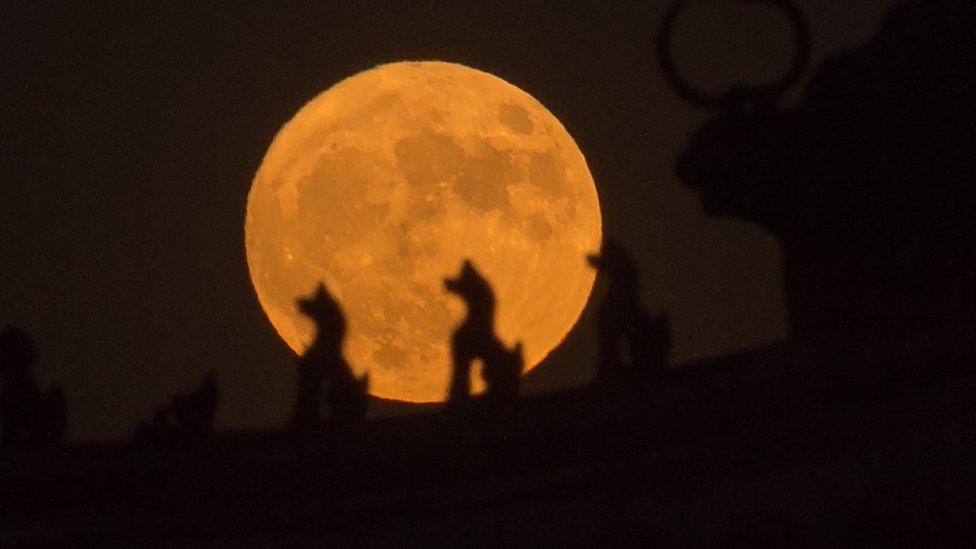 A picture from 2016 shoings the moon rising behind sculptures on the roof of a tower in the Forbidden City in Beijing, during the "supermoon" phenomena when the moon is near its closest approach to earth.