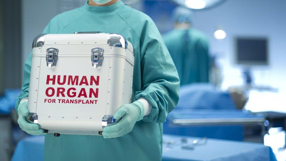 A medical staff member carrying a box containing human organs for transplant