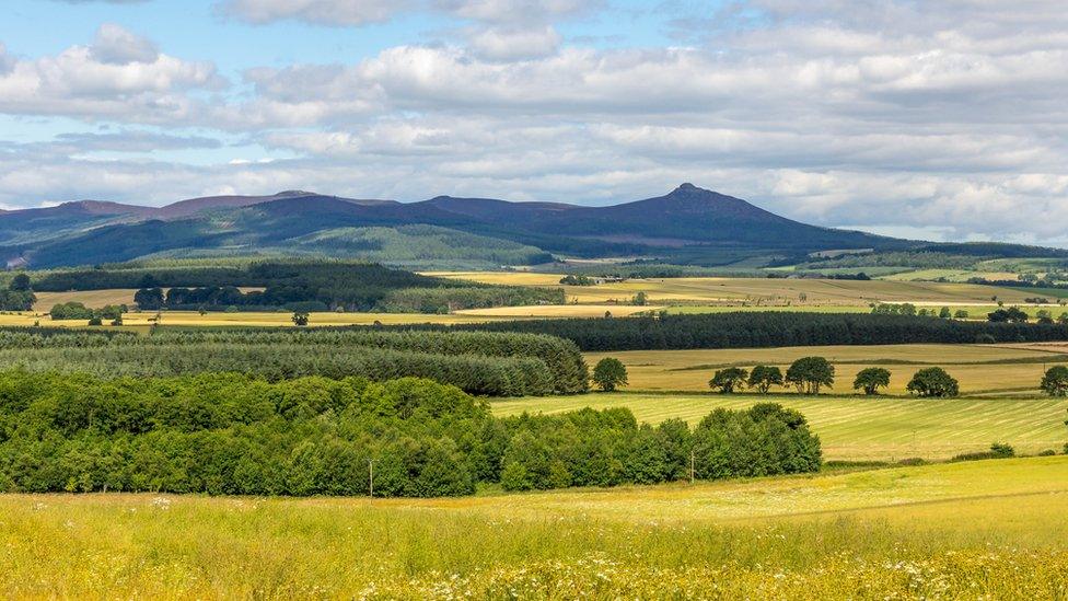 Bennachie