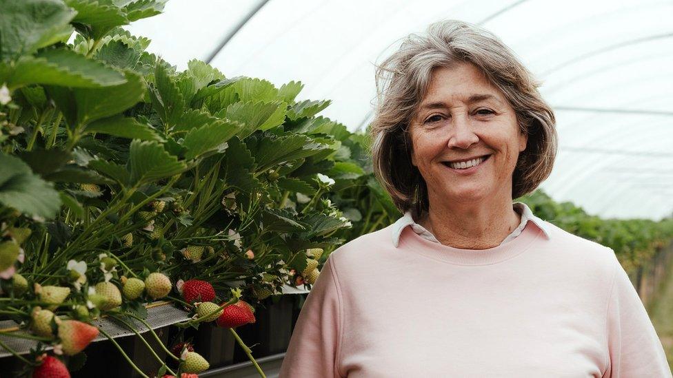 Marion Regan is the fifth generation owner of Kent-based Hugh Lowe Farms